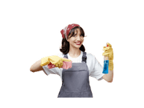 Service Image Hire Professional Cleaners  (Package)